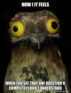 Weird Stuff I do Potoo
