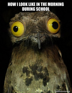 Weird Stuff I do Potoo