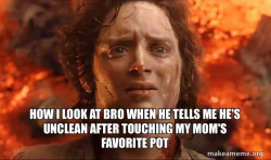 Frodo it's over it's done