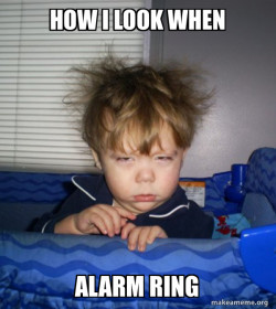 Monday Mornings