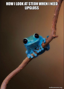 Small Fact Frog