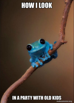 Small Fact Frog
