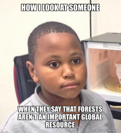 Minor Mistake Marvin