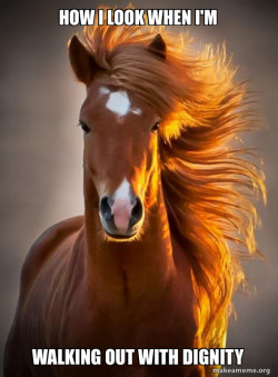 Ridiculously photogenic horse