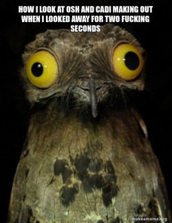 Weird Stuff I do Potoo