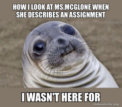 Squeamish Seal