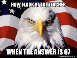 American Pride Eagle