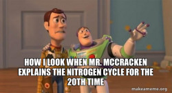 Buzz and Woody (Toy Story) Meme