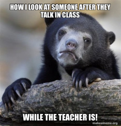 Confession Bear