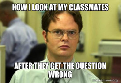 Schrute Facts (Dwight Schrute from The Office)