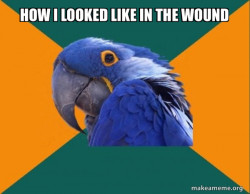 Paranoid Parrot