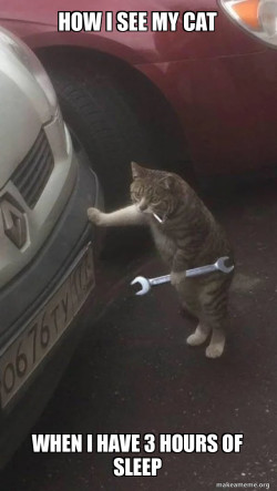 Mechanic Cat