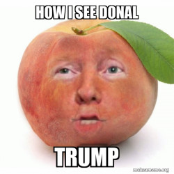 Impeached Donald Trump
