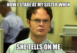 Schrute Facts (Dwight Schrute from The Office)
