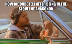 Today was a good day