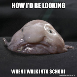 Blobfish