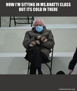 Bernie Sanders at the Inauguration