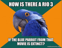 A Real Question