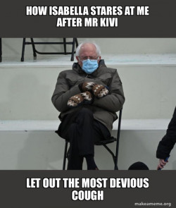 Bernie Sanders at the Inauguration