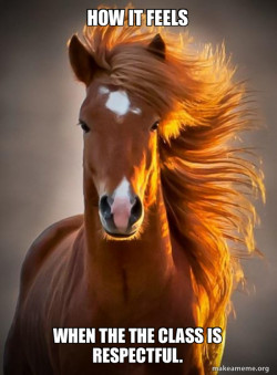 Ridiculously photogenic horse