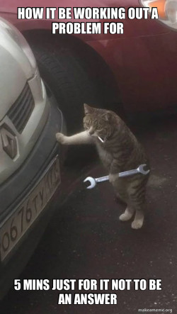 Mechanic Cat