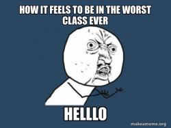 Y U No
