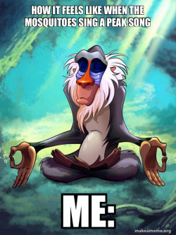 Rafiki Meditating - Lion King