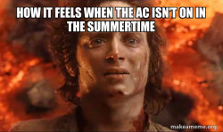 Frodo it's over it's done