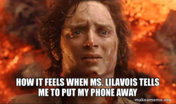 Frodo it's over it's done