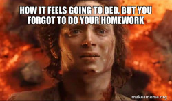 Frodo it's over it's done