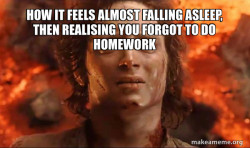 Frodo it's over it's done