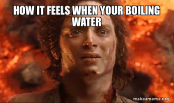 Frodo it's over it's done