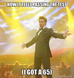 Tony Stark Success