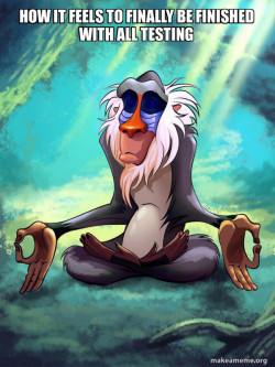 Rafiki Meditating - Lion King