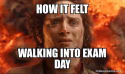Frodo it's over it's done