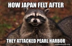 Evil Plotting Raccoon