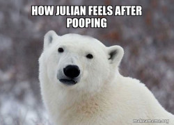 Popular Opinion Polar Bear