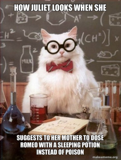 Chemistry Cat
