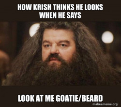 Hagrid - I should not have said that