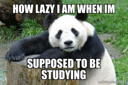 Confession Panda