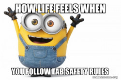 Happy Minion