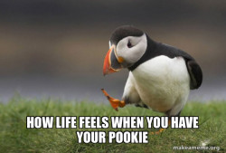 Unpopular Opinion Puffin