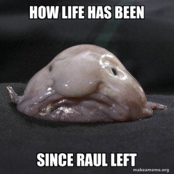 Blobfish
