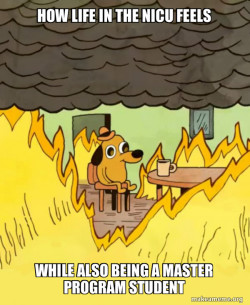 This Is Fine