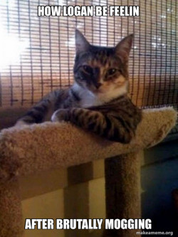 The Most Interesting Cat in the World