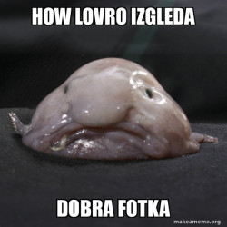 Blobfish