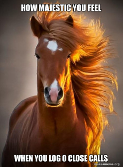 Ridiculously photogenic horse