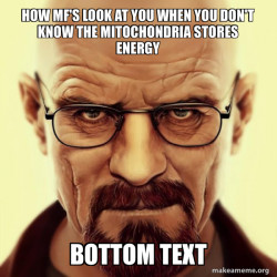 Walter White Breaking Bad