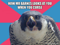 Millennial Falcon