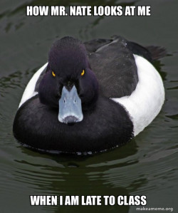 Revenge Duck ( Angry Advice Duck )
